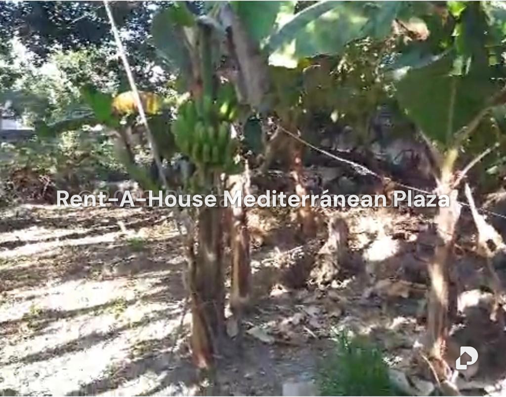 Terreno en El Guayabal, Naguanagua – 5
