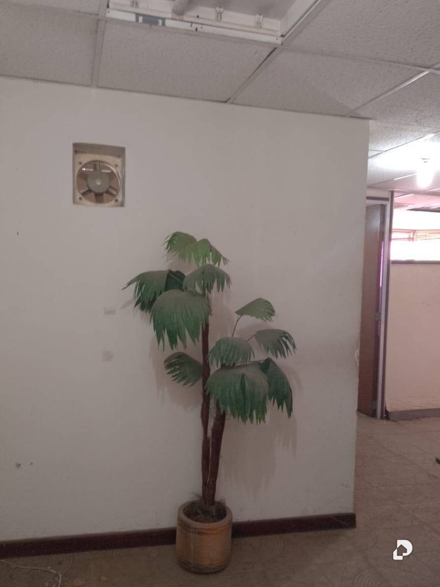 Office in Cecilio Acosta, Maracaibo – 7