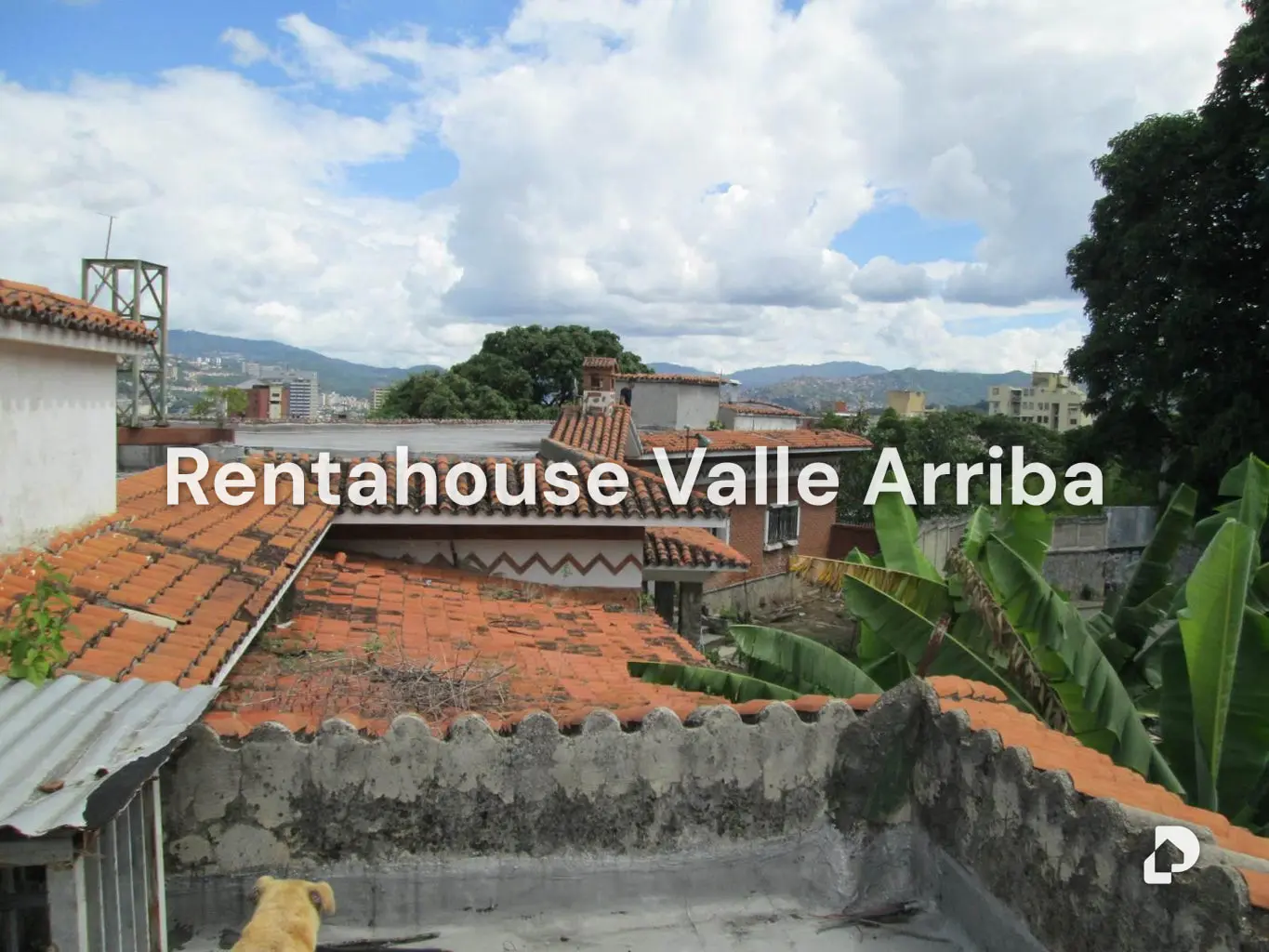 Terreno en Los Caobos, Caracas – 15
