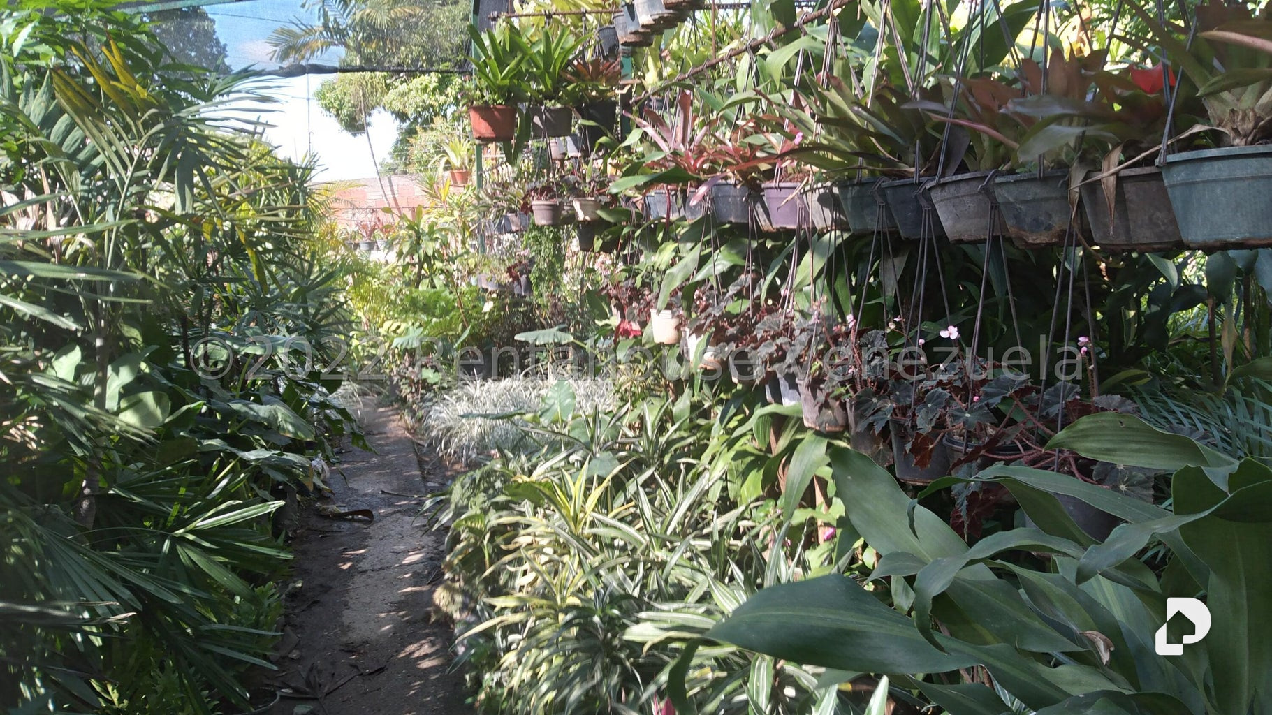 Terreno en Los Chorros, Caracas – 10