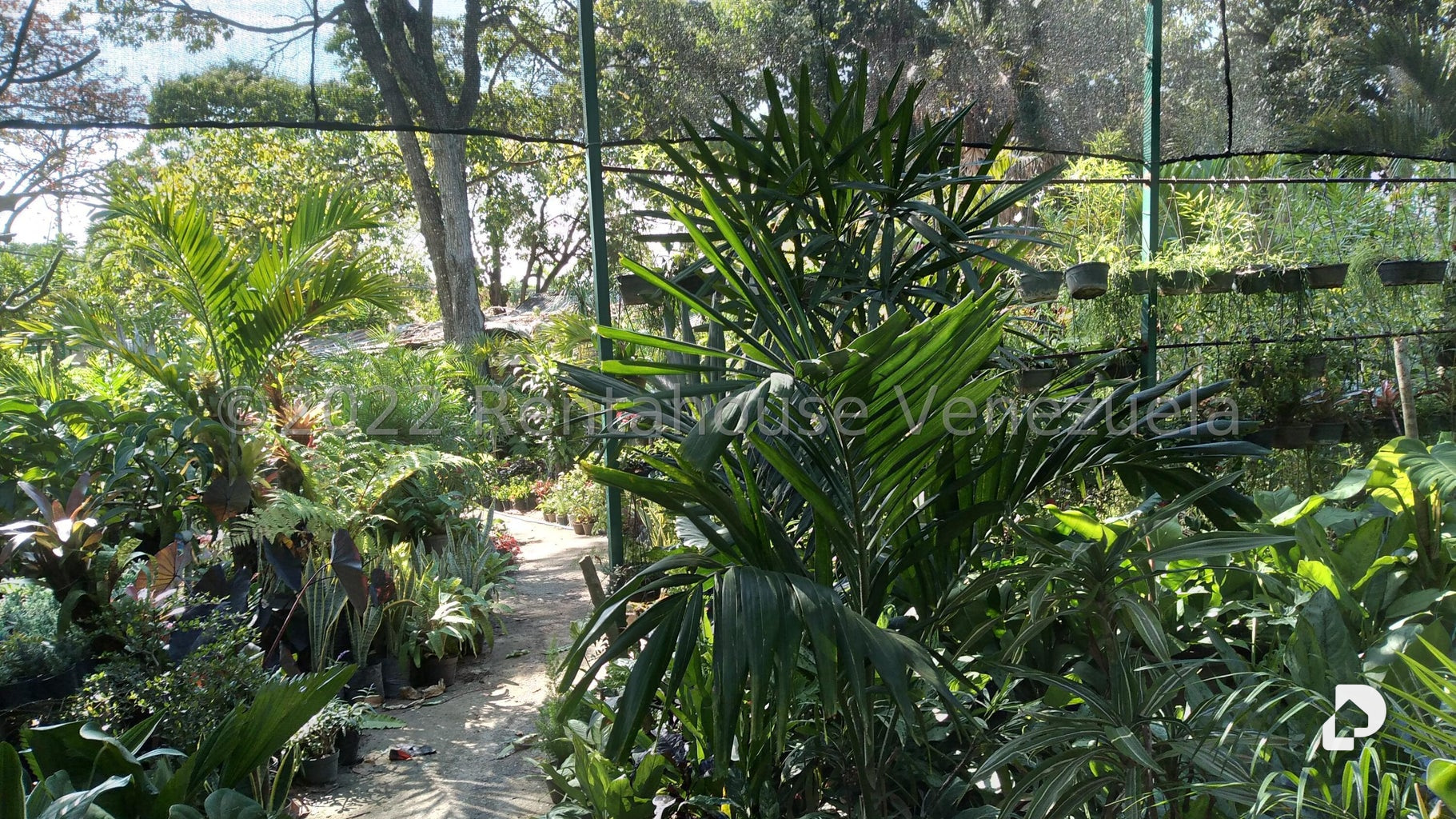 Terreno en Los Chorros, Caracas – 4