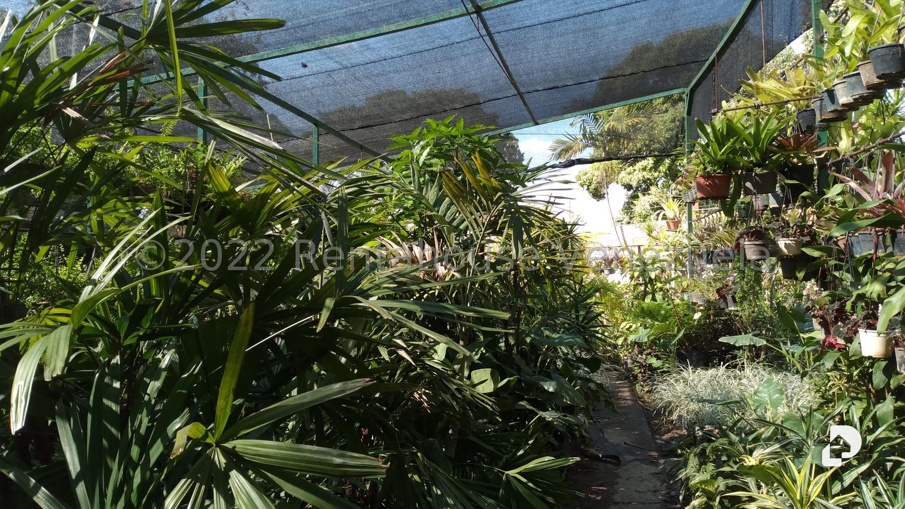 Terreno en Los Chorros, Caracas – 5