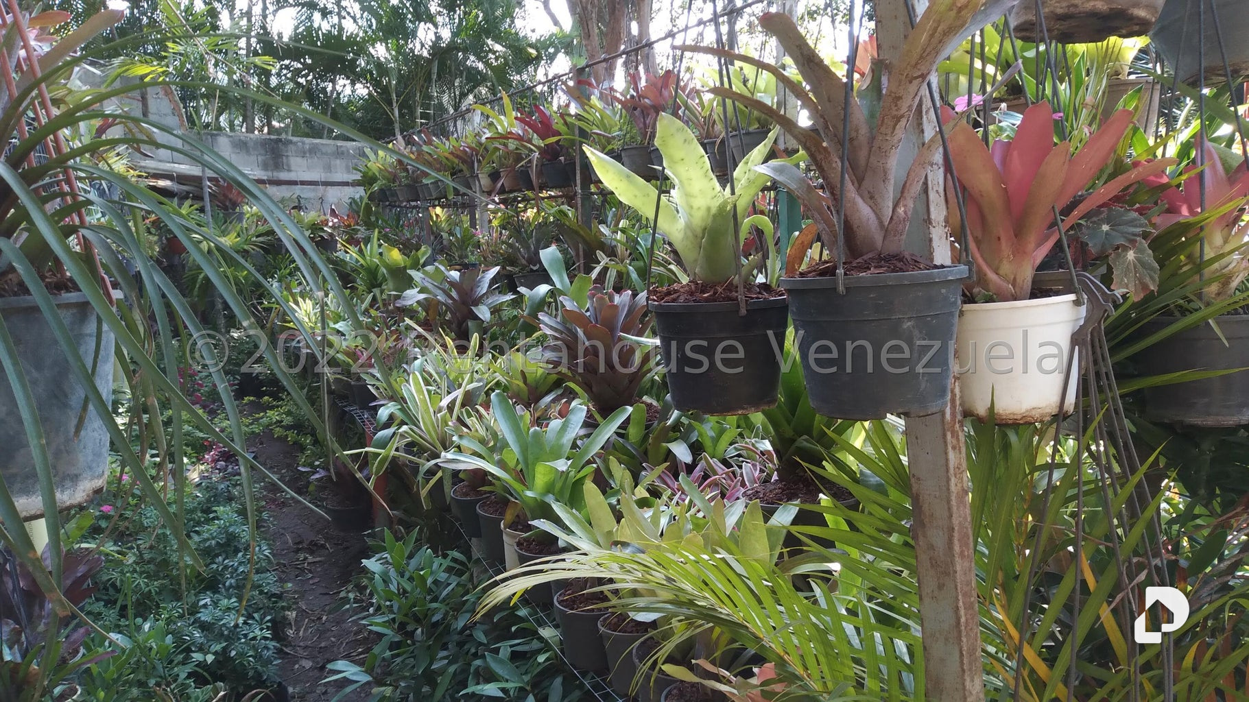 Terreno en Los Chorros, Caracas – 7