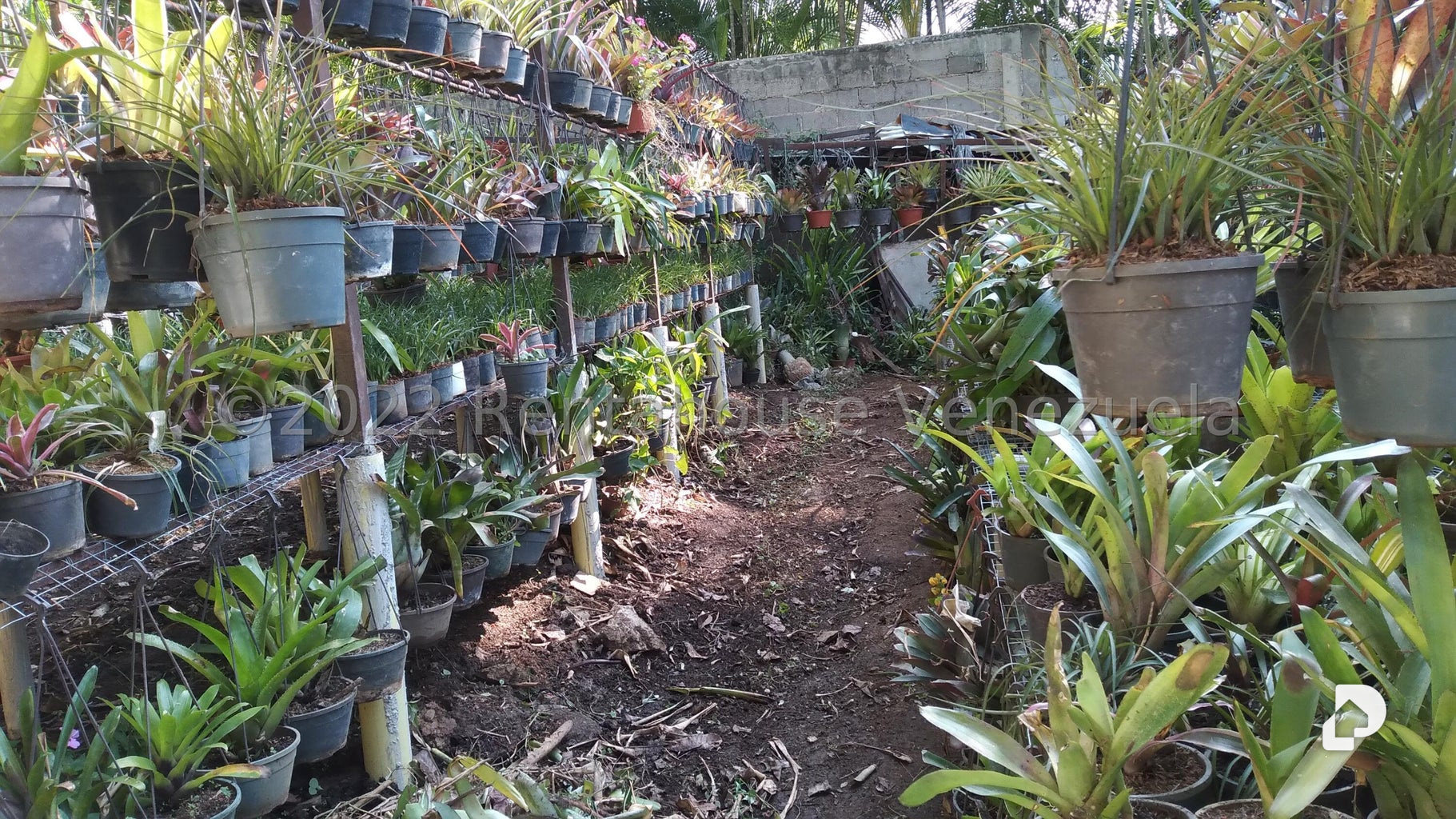 Terreno en Los Chorros, Caracas – 13