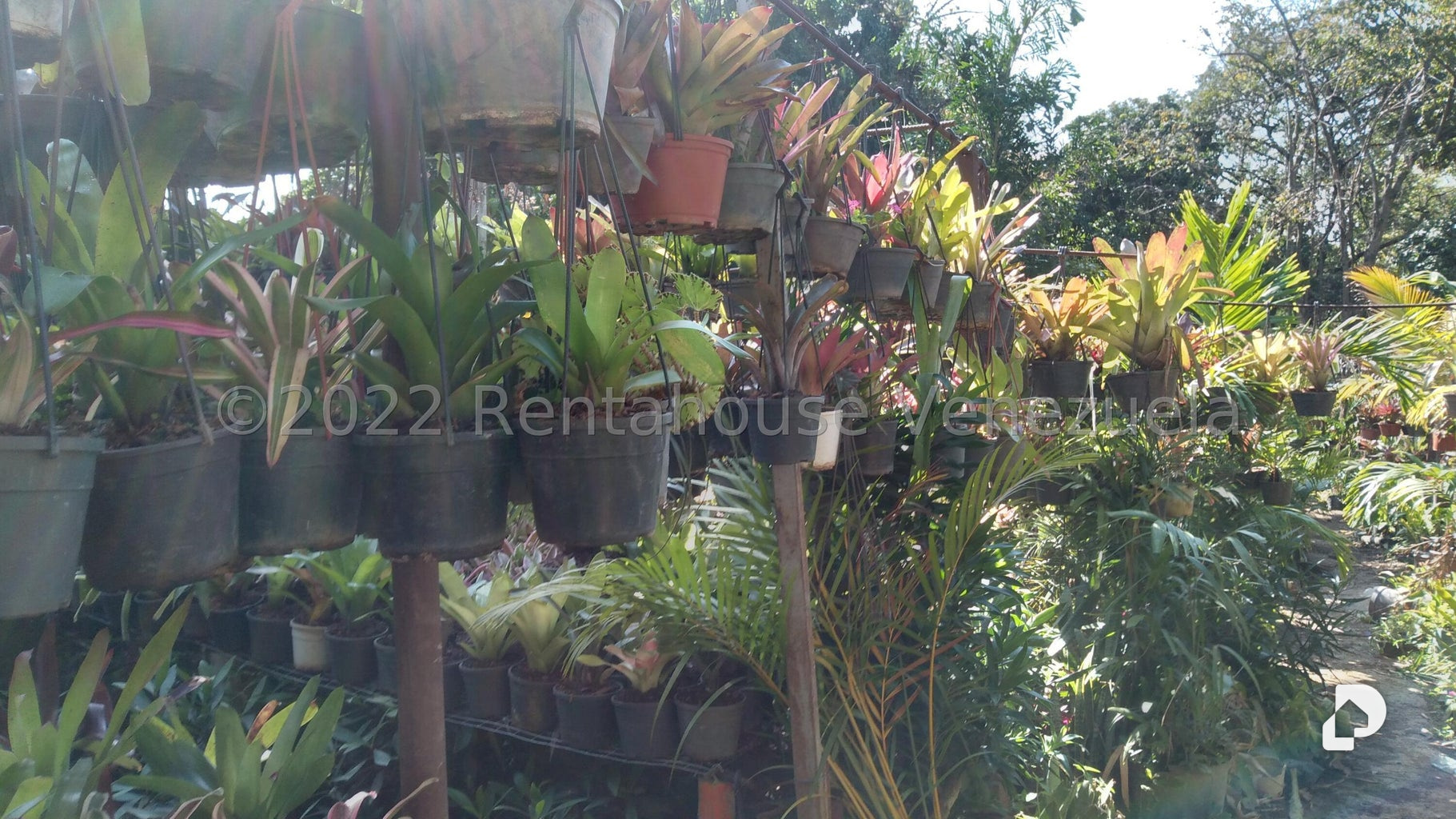 Terreno en Los Chorros, Caracas – 9