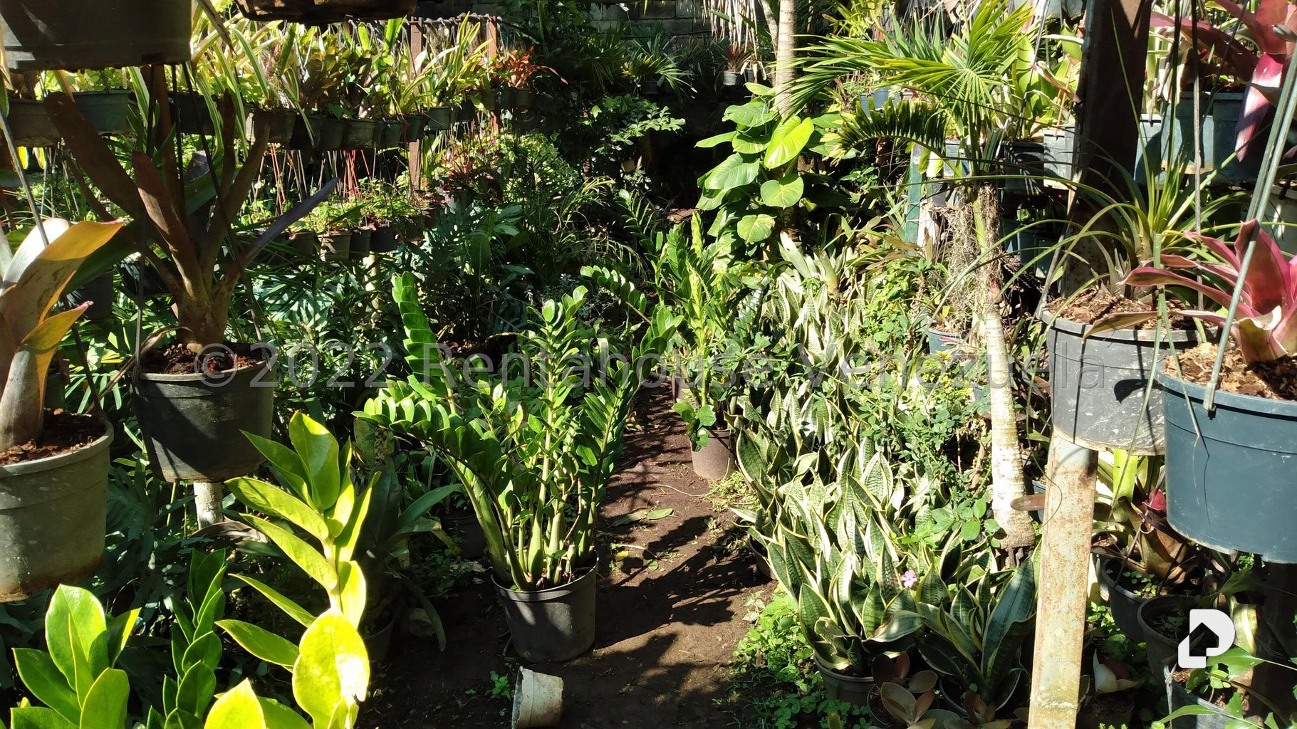Terreno en Los Chorros, Caracas – 6