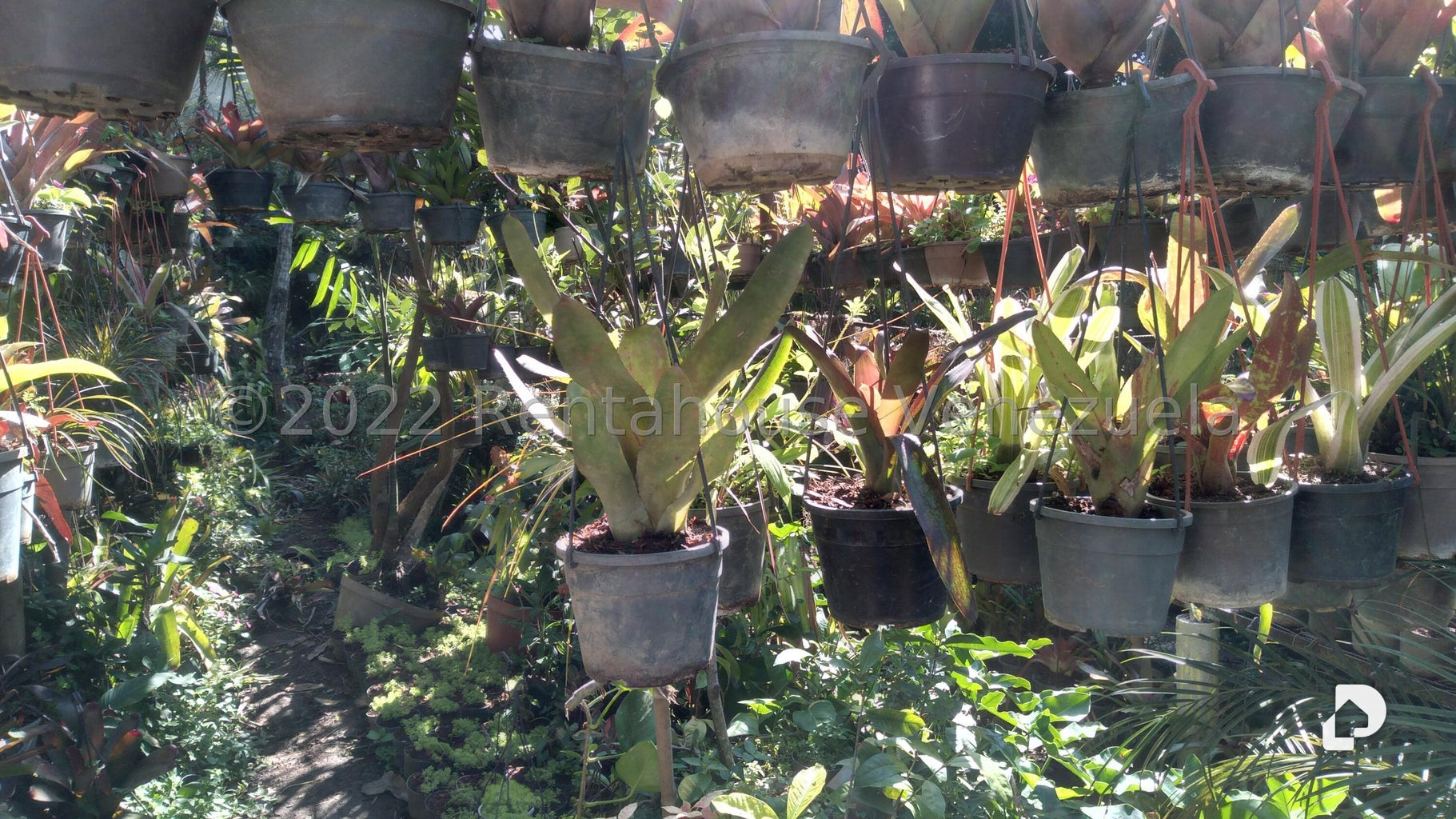 Terreno en Los Chorros, Caracas – 8