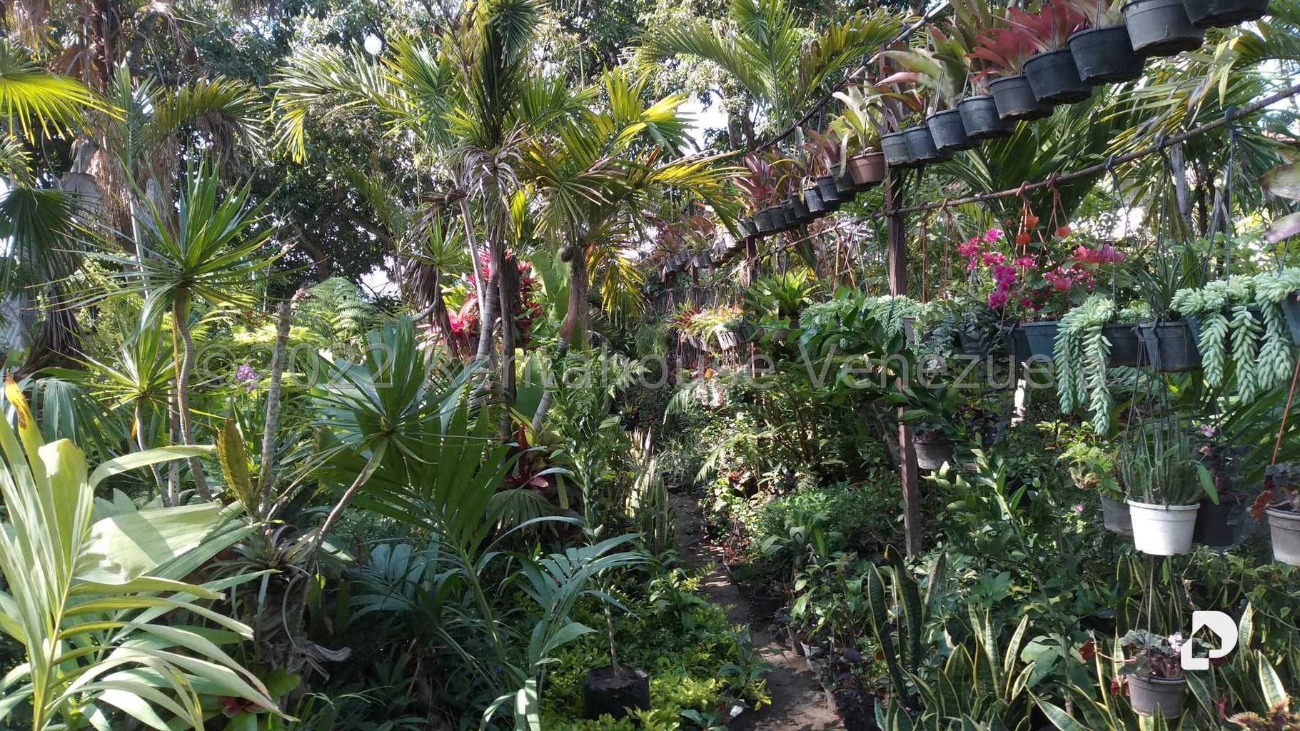 Terreno en Los Chorros, Caracas – 3
