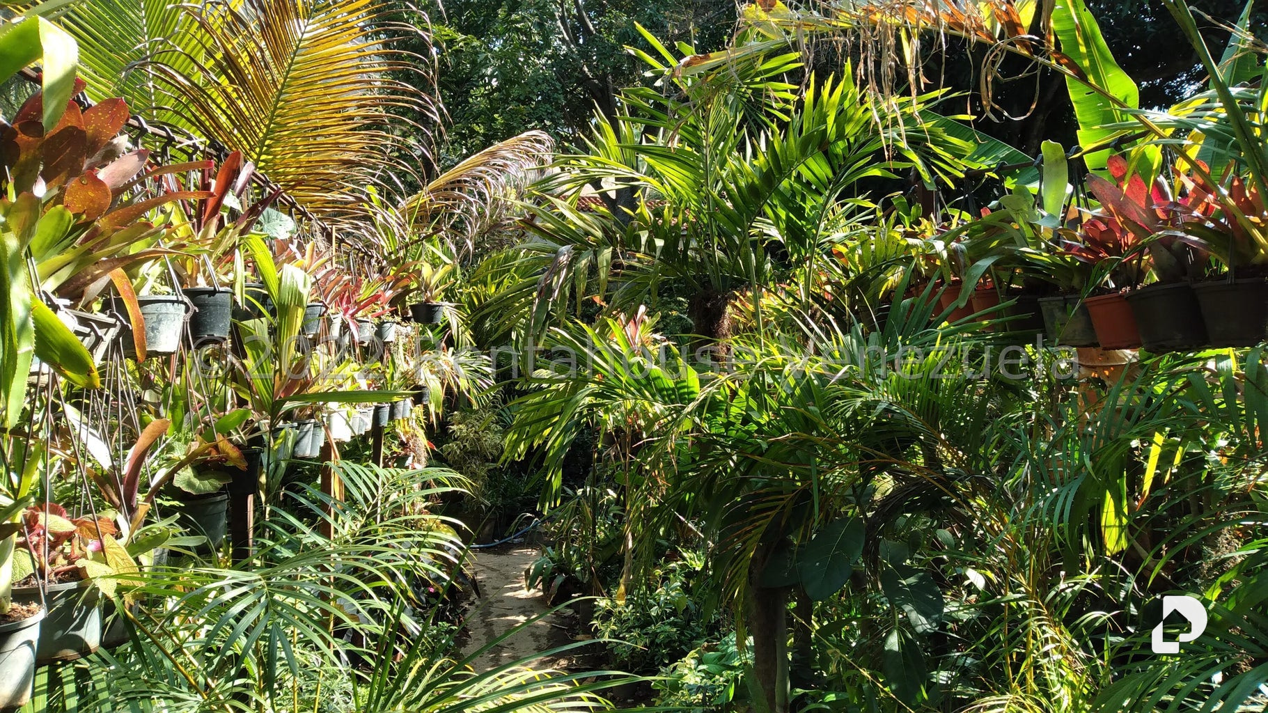 Terreno en Los Chorros, Caracas – 11