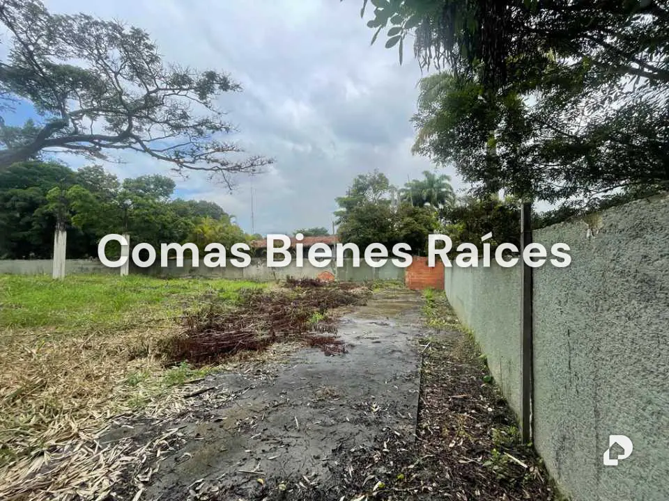 Terreno en Valle Arriba, Caracas – 4