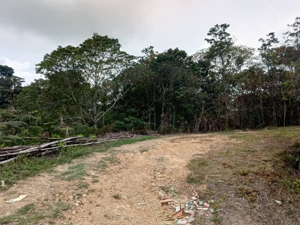 Terreno en San Diego de Los Altos, Altos Mirandinos - 1