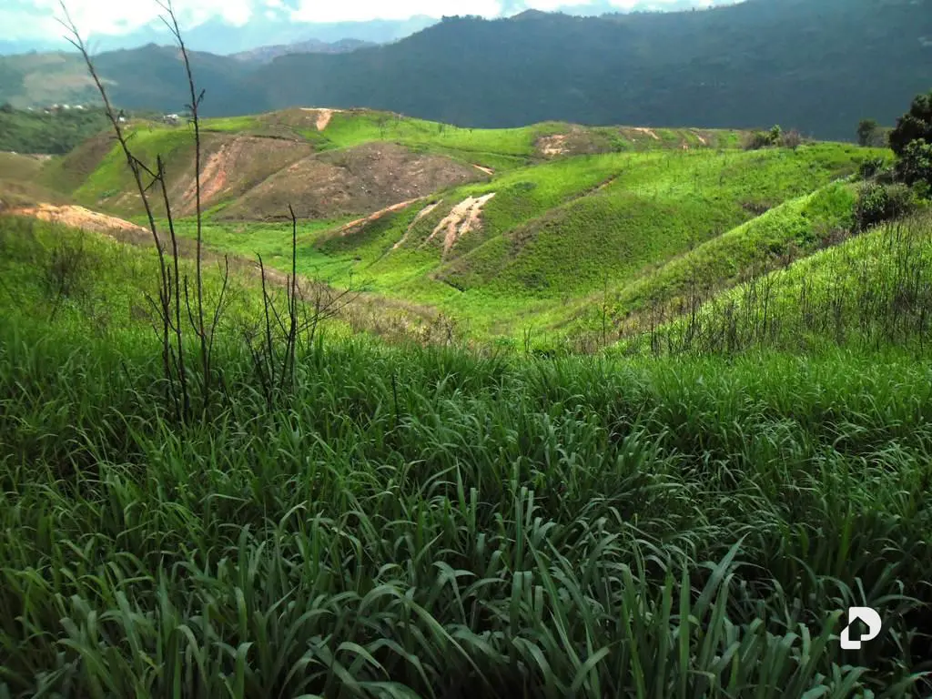 Terreno en El Hatillo, Caracas – 11