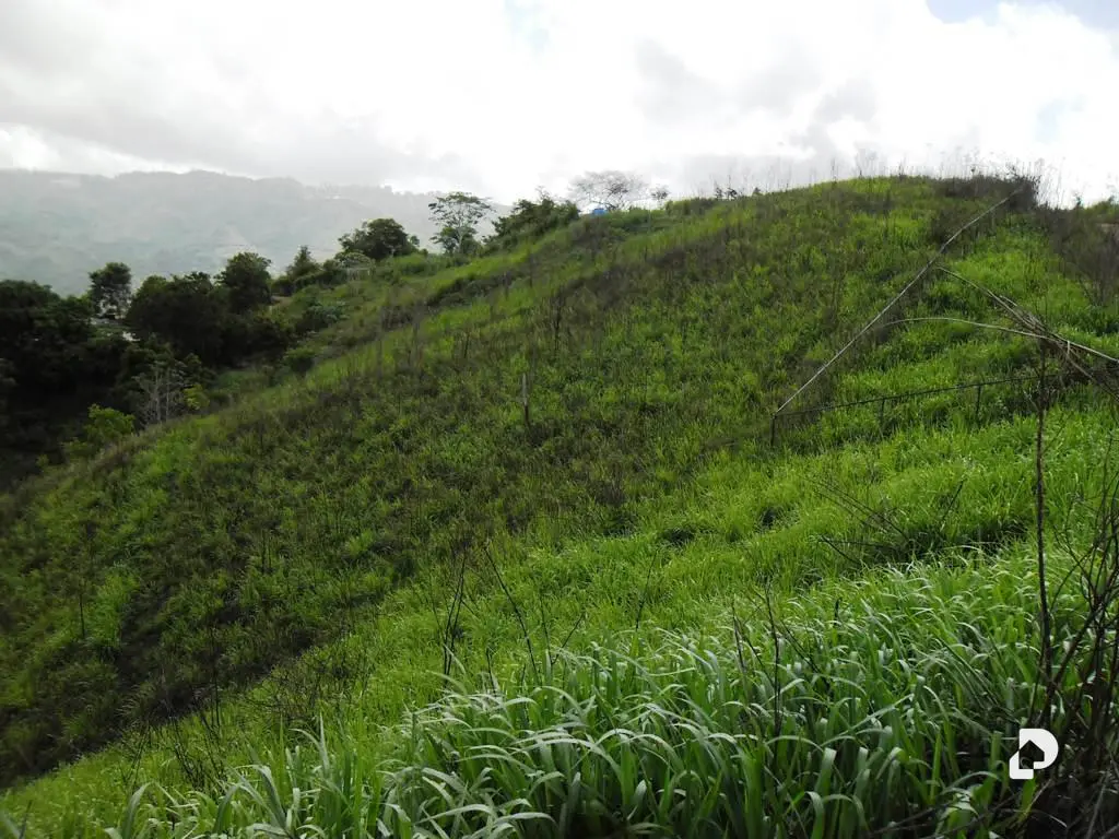 Terreno en El Hatillo, Caracas – 15