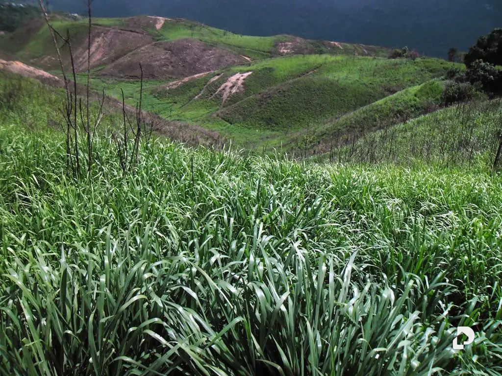 Terreno en El Hatillo, Caracas – 7