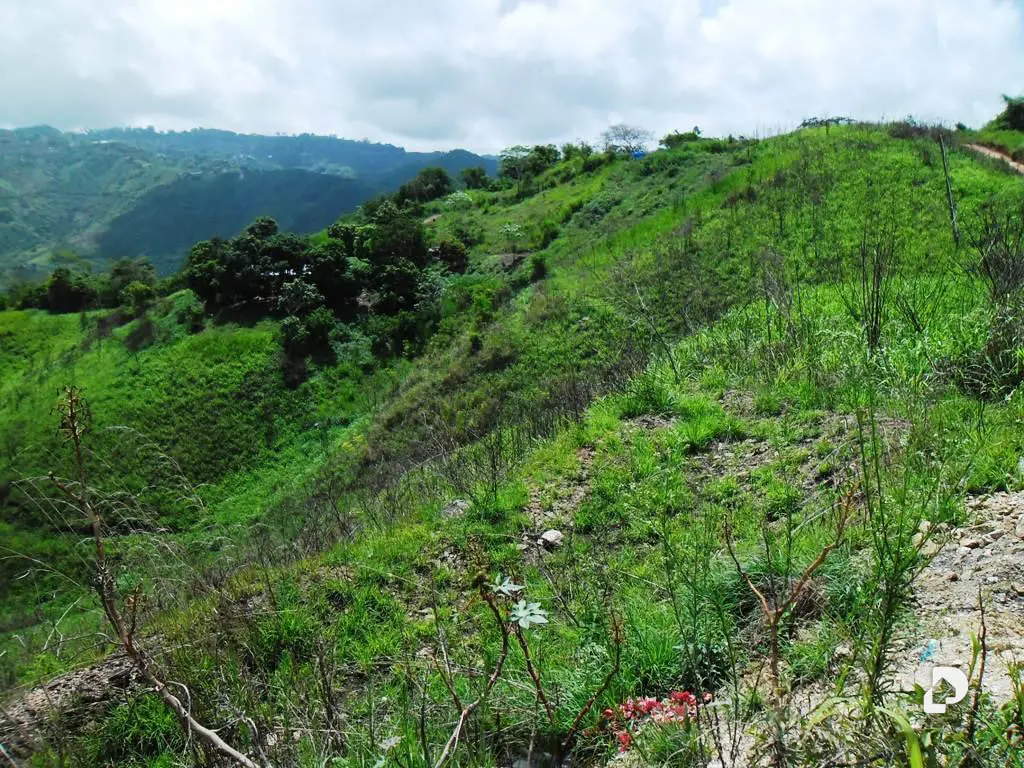 Terreno en El Hatillo, Caracas – 22