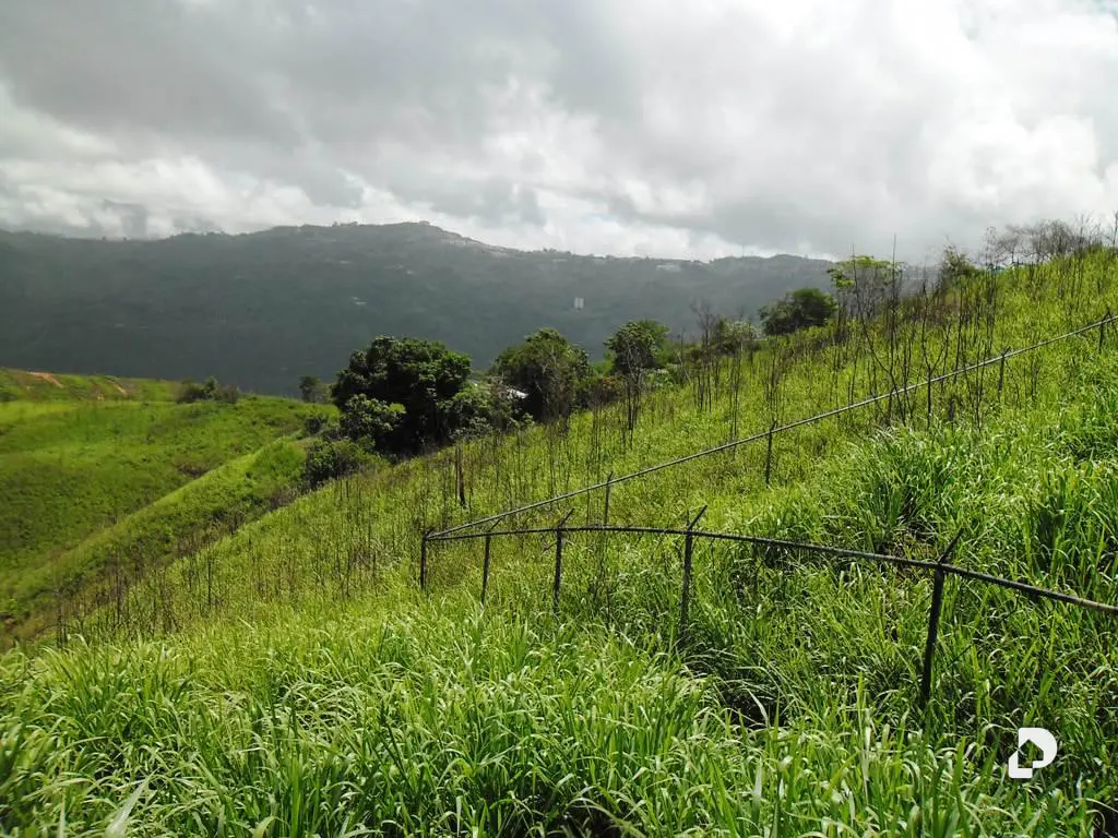 Terreno en El Hatillo, Caracas – 9