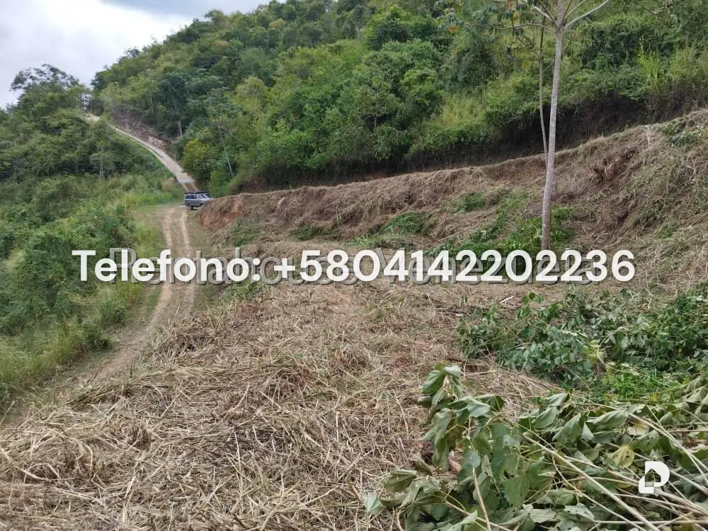 Terreno en Caicaguana, Caracas – 6