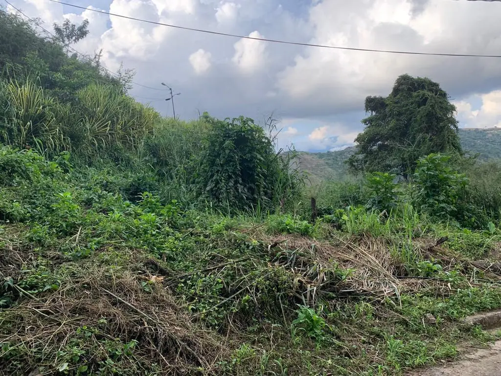 Land in Caicaguana, Caracas - 1