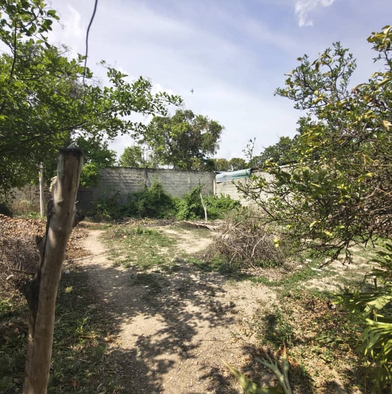 Terreno en Barquisimeto - 1