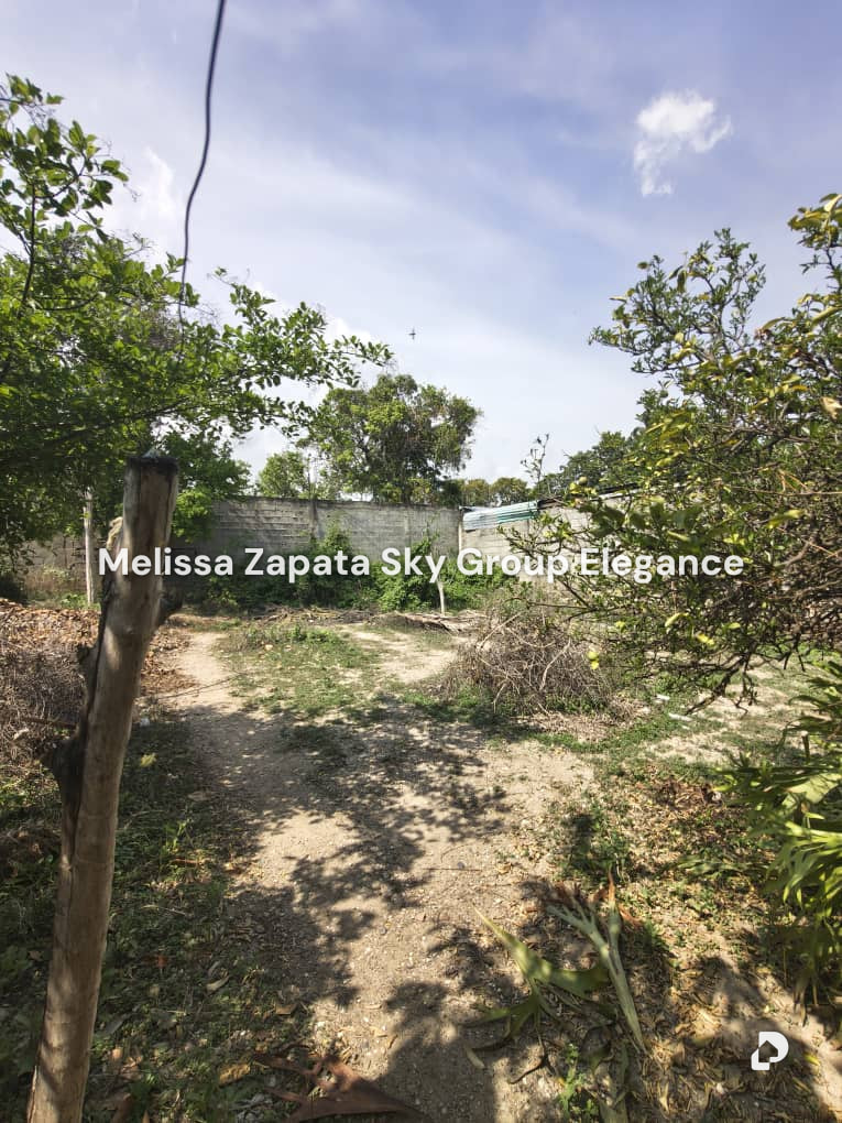 Terreno en Barquisimeto – 1