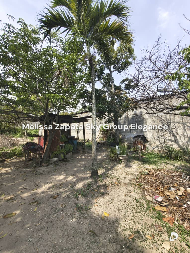Terreno en Barquisimeto – 6