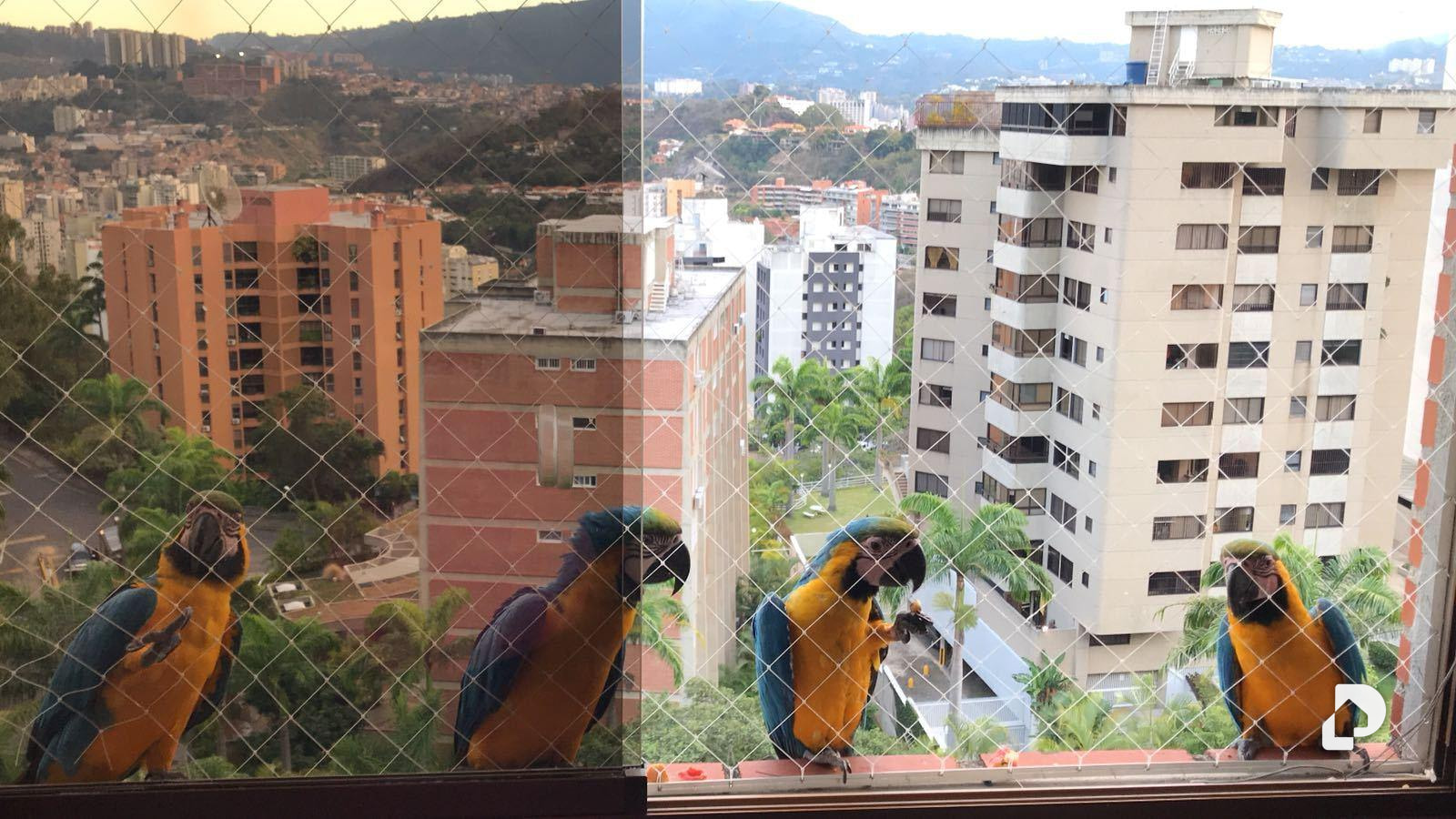 Apartamento en La Alameda, Caracas – 21