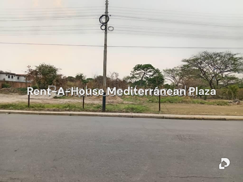 Terreno en Flor Amarillo, Valencia – 19