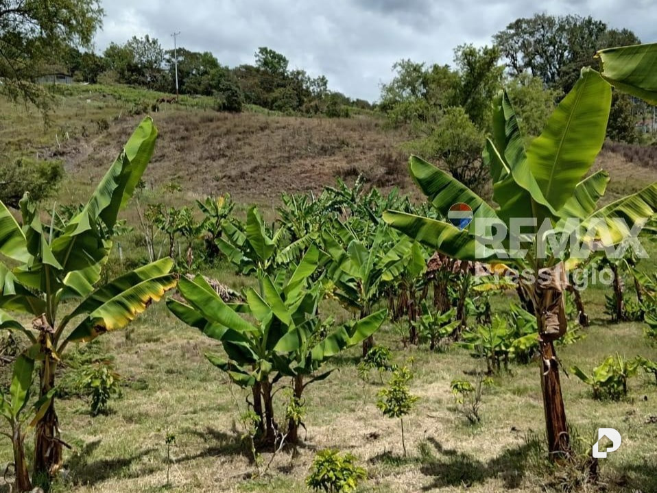 Casa en Jají – 13