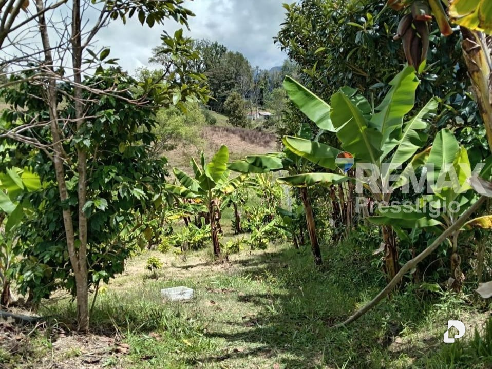 Casa en Jají – 14