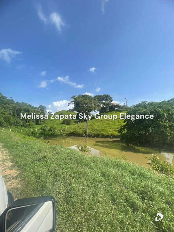 Farm in San Felipe – 3