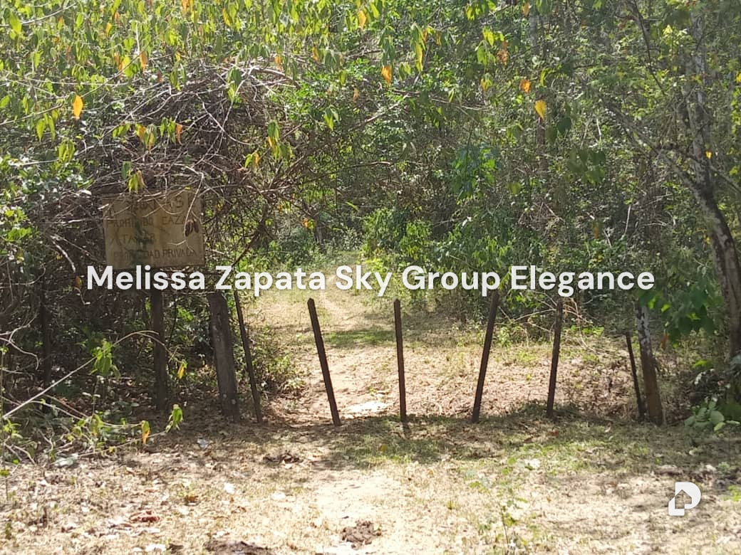 Farm in San Felipe – 2