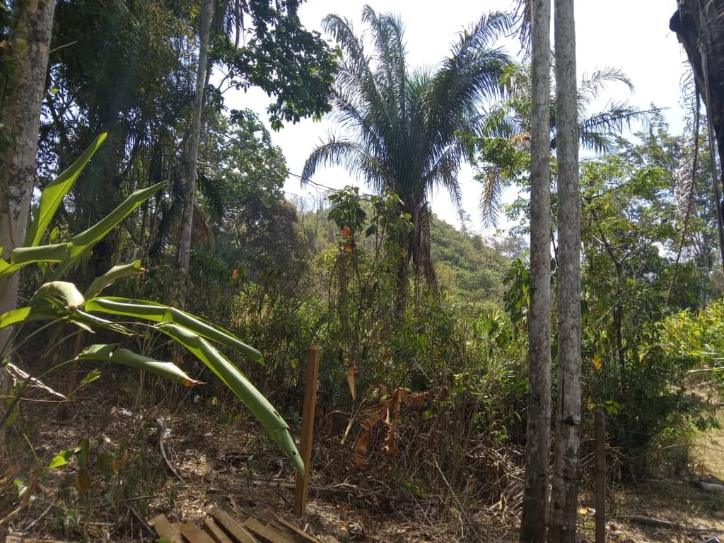 Finca en San Felipe - 1