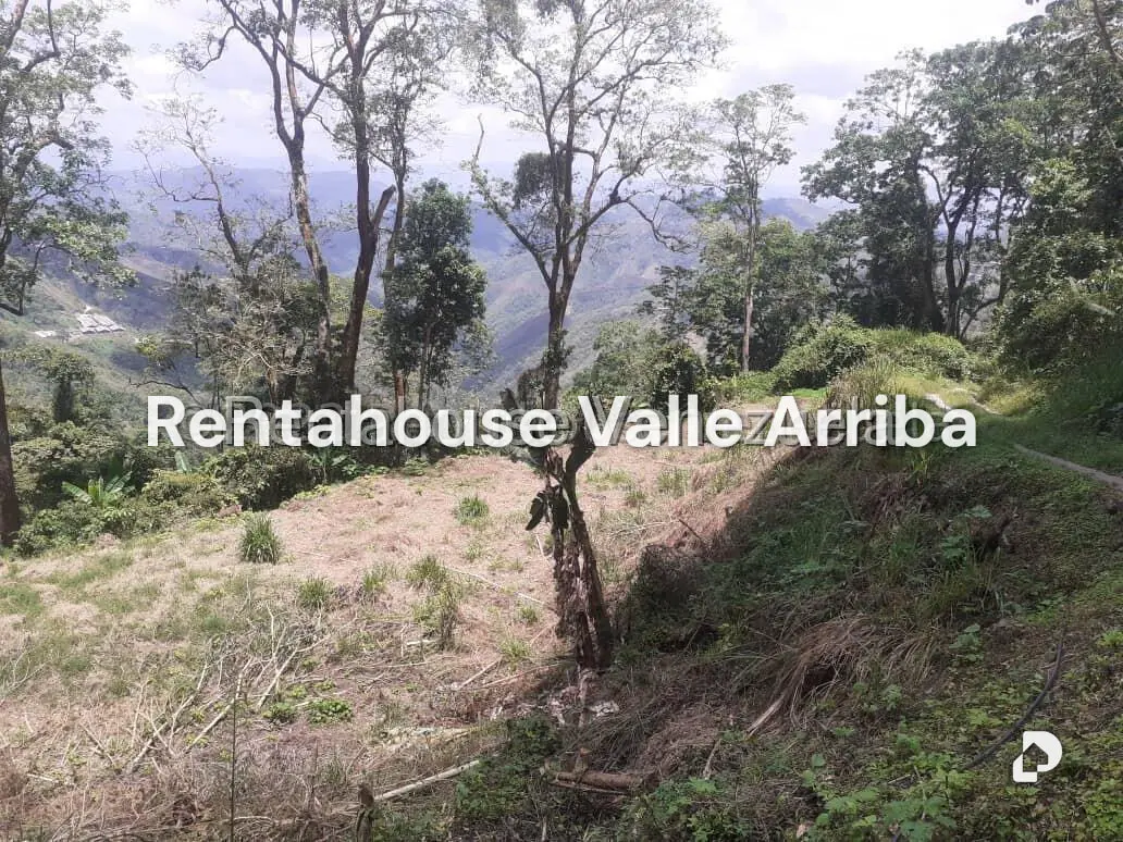 Terreno en San Diego de los Altos, San Antonio de Los Altos – 3