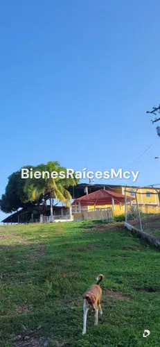 Finca en Camatagua – 5