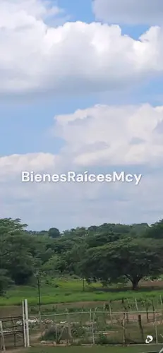 Finca en Camatagua – 4