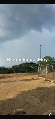 Finca en Camatagua – 11