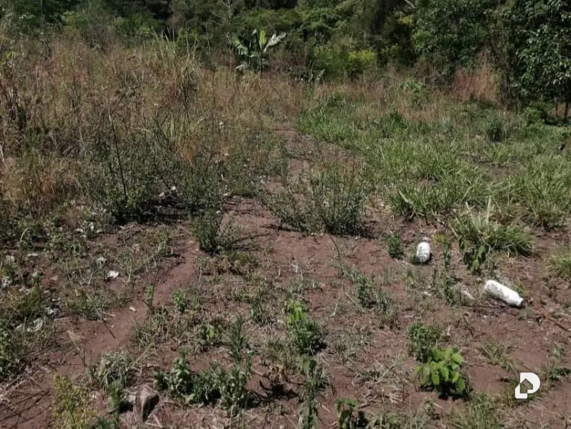 Terreno en Caripe – 6