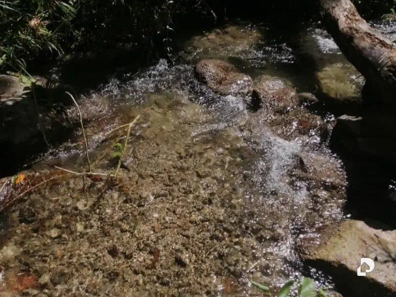 Terreno en Caripe – 7