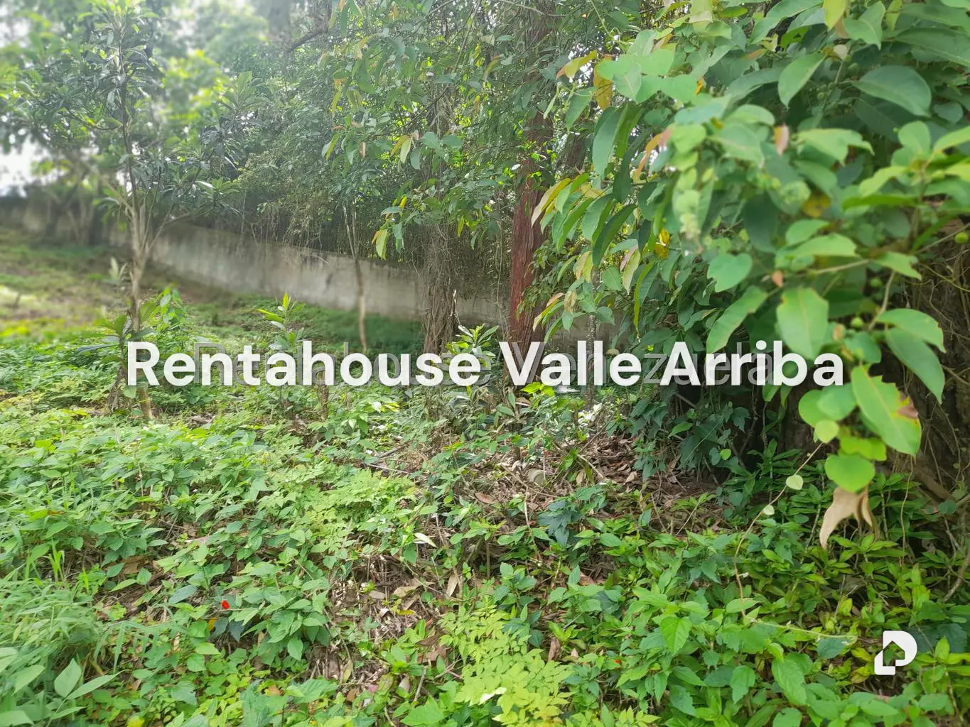 Terreno en El Carrizal, San Antonio de Los Altos – 13