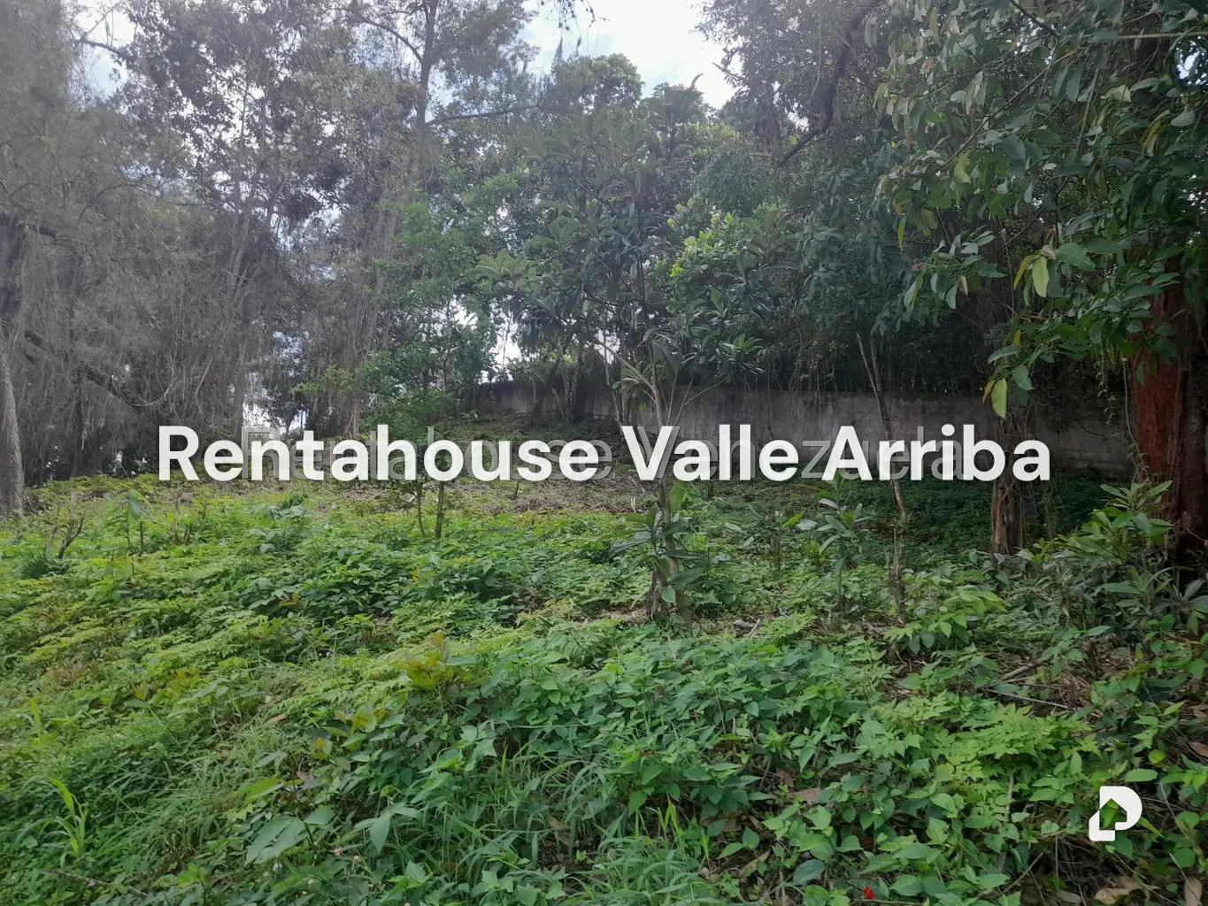 Terreno en El Carrizal, San Antonio de Los Altos – 17