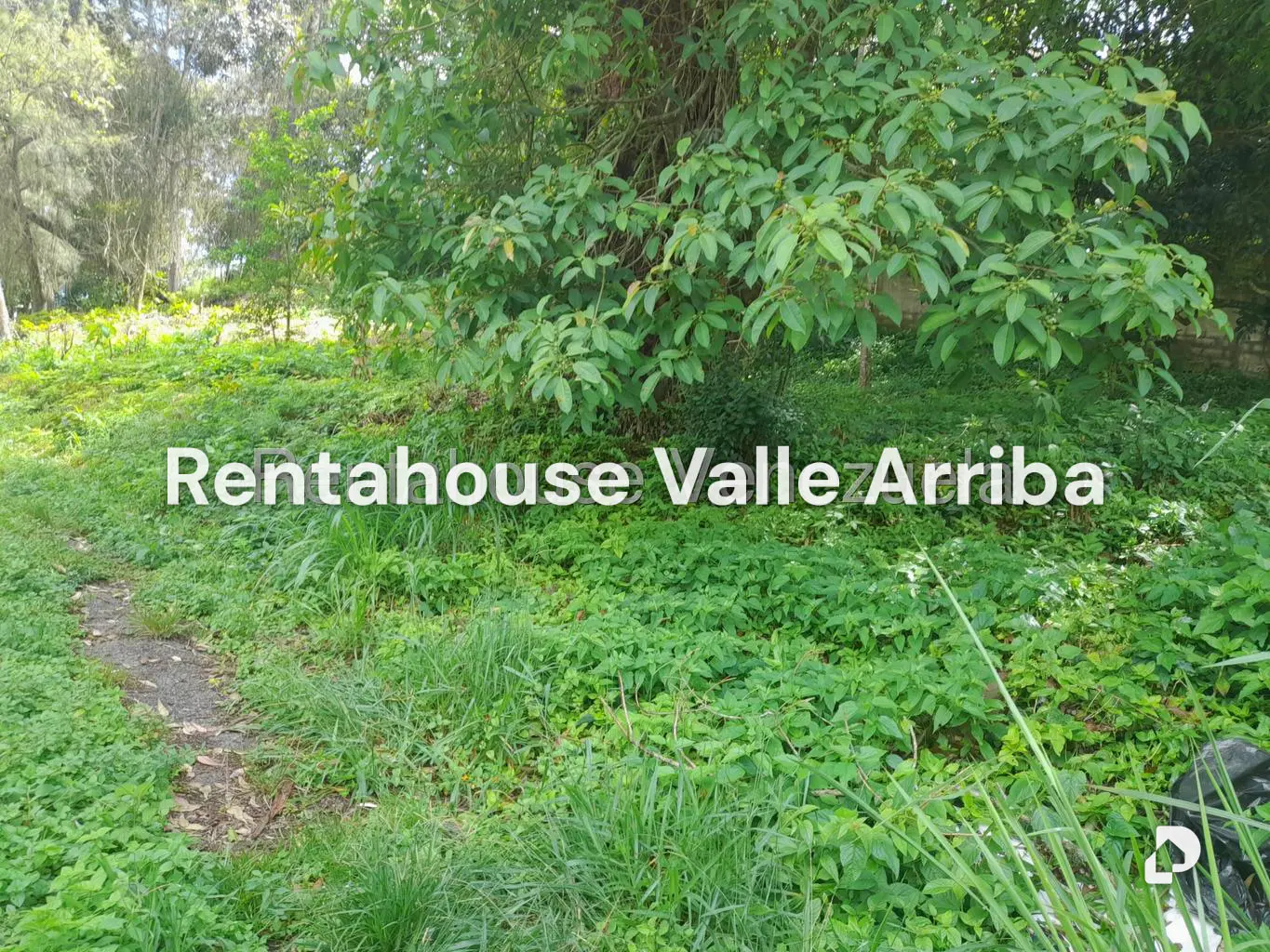 Terreno en El Carrizal, San Antonio de Los Altos – 8