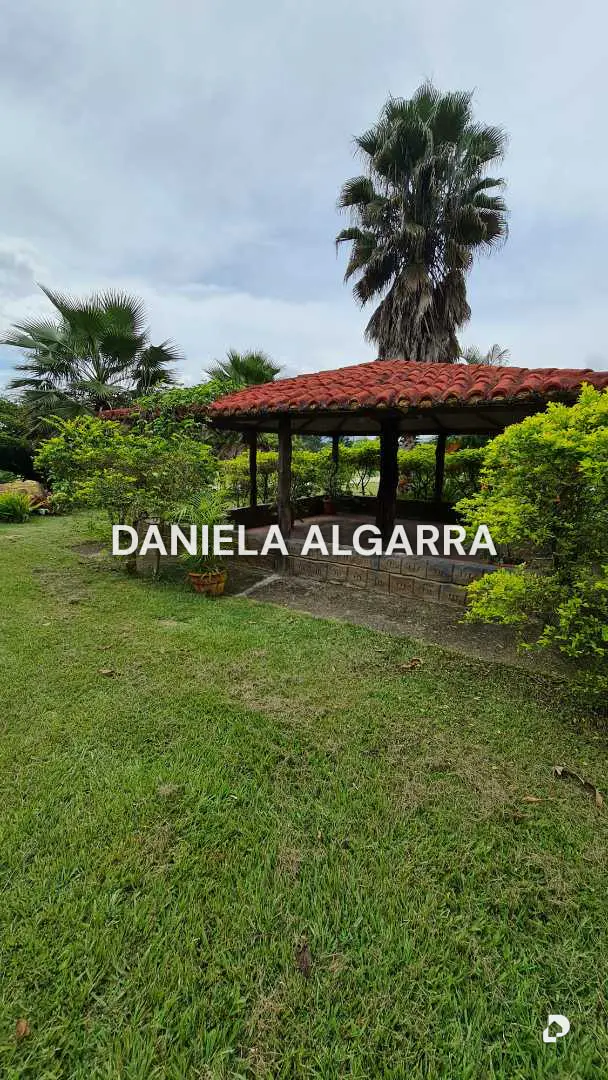 Finca en Montalbán, Valencia – 5