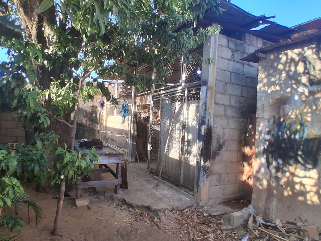 Galpón en Rafito Villalobos, Maracaibo - 1