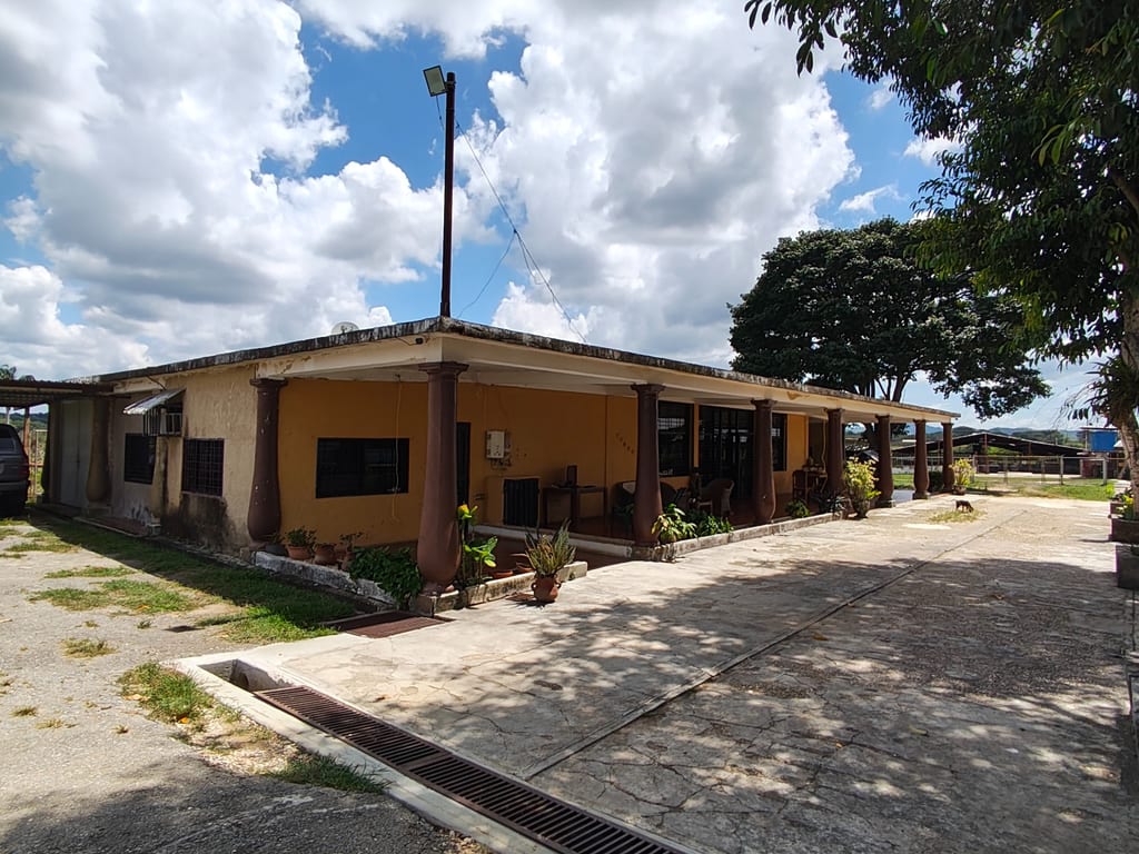 Finca en Tinaquillo - 1