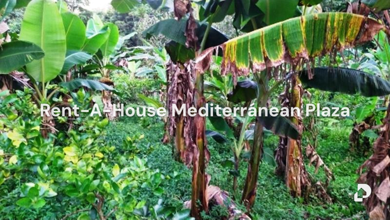 Finca en Canoabo, Bejuma