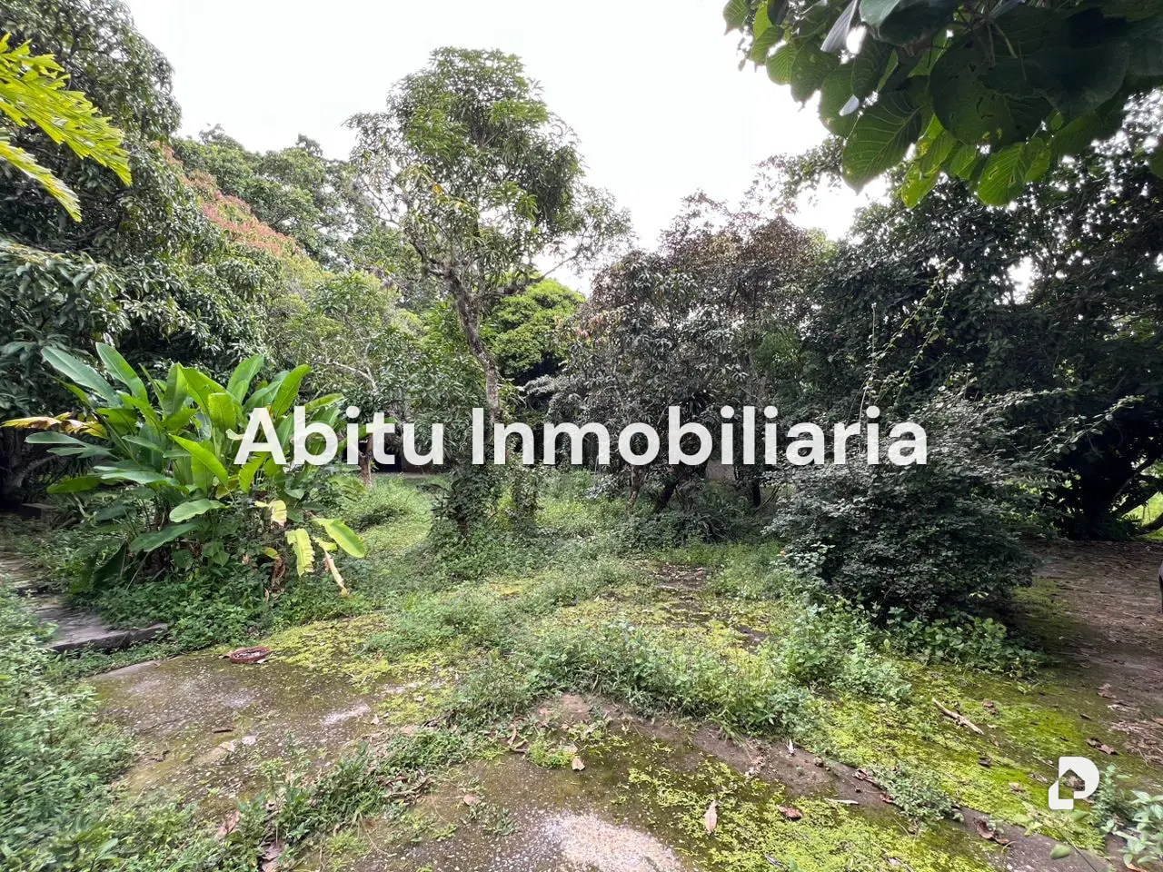 Land in Los Chorros, Caracas – 1