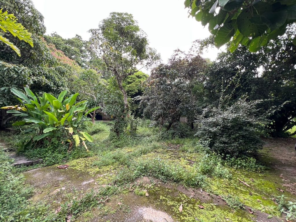 Terreno en Los Chorros, Caracas - 1