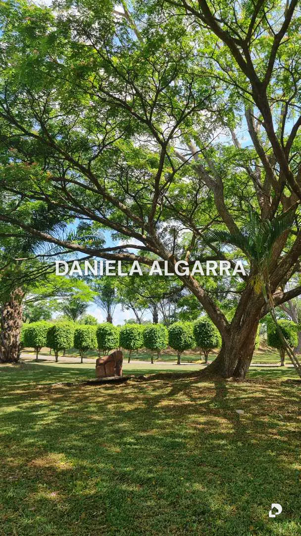 Farm in Tinaquillo – 13