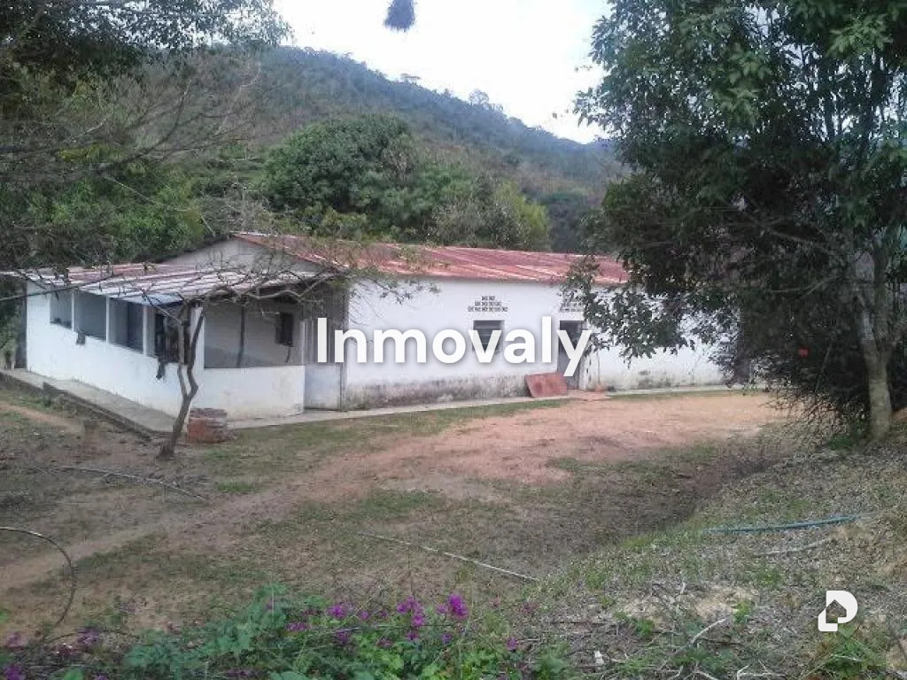 Farm in Miranda – 1