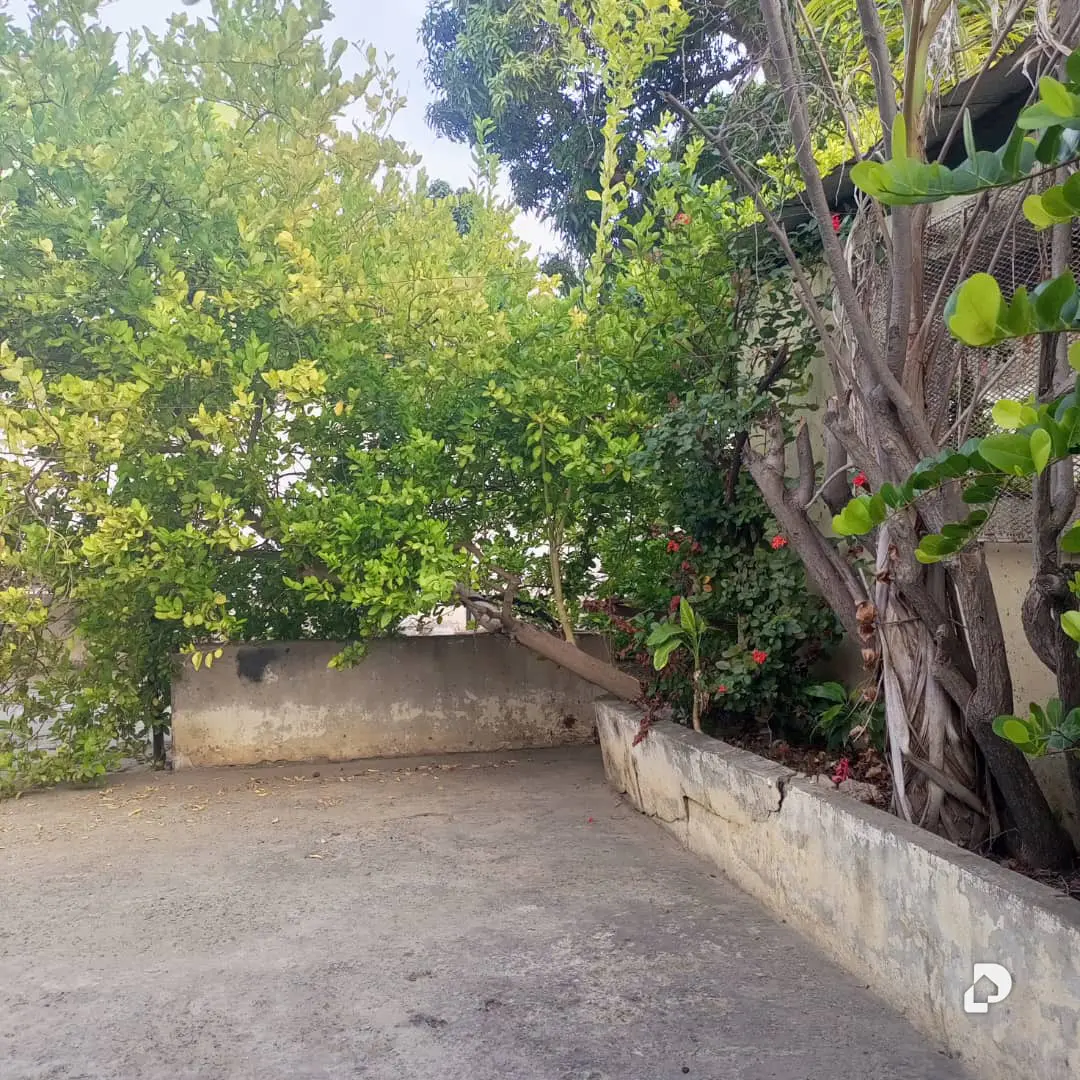 Terreno en Av. Gran Mariscal, Cumaná – 29